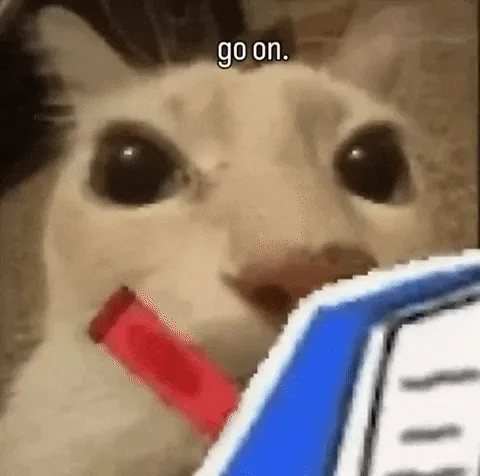 cat go on