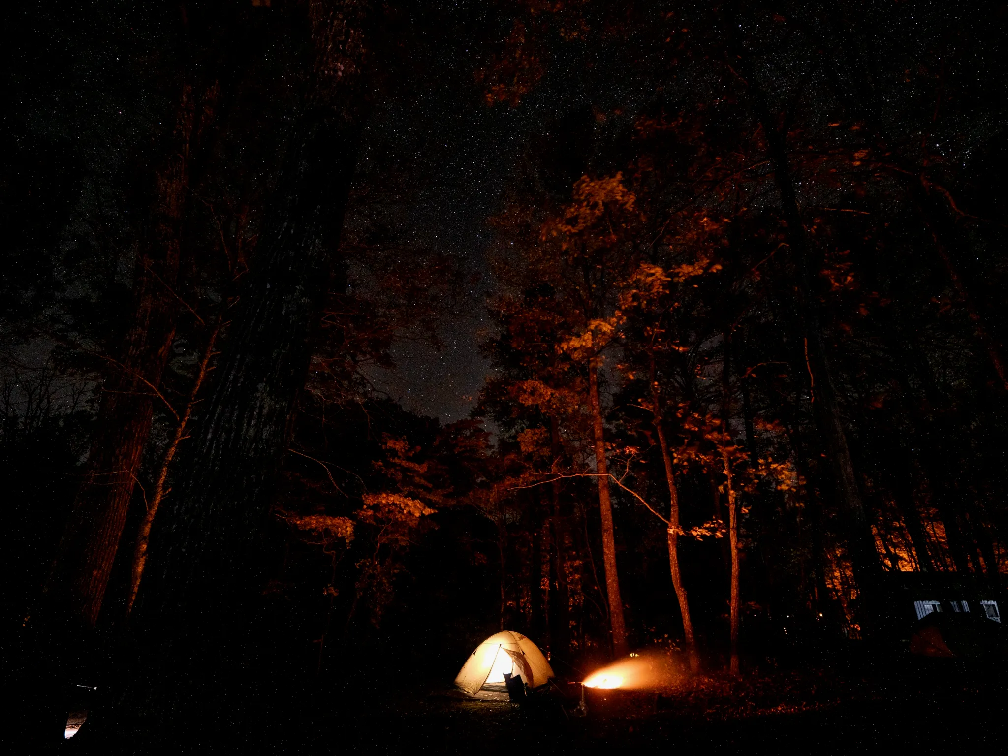 Night sky