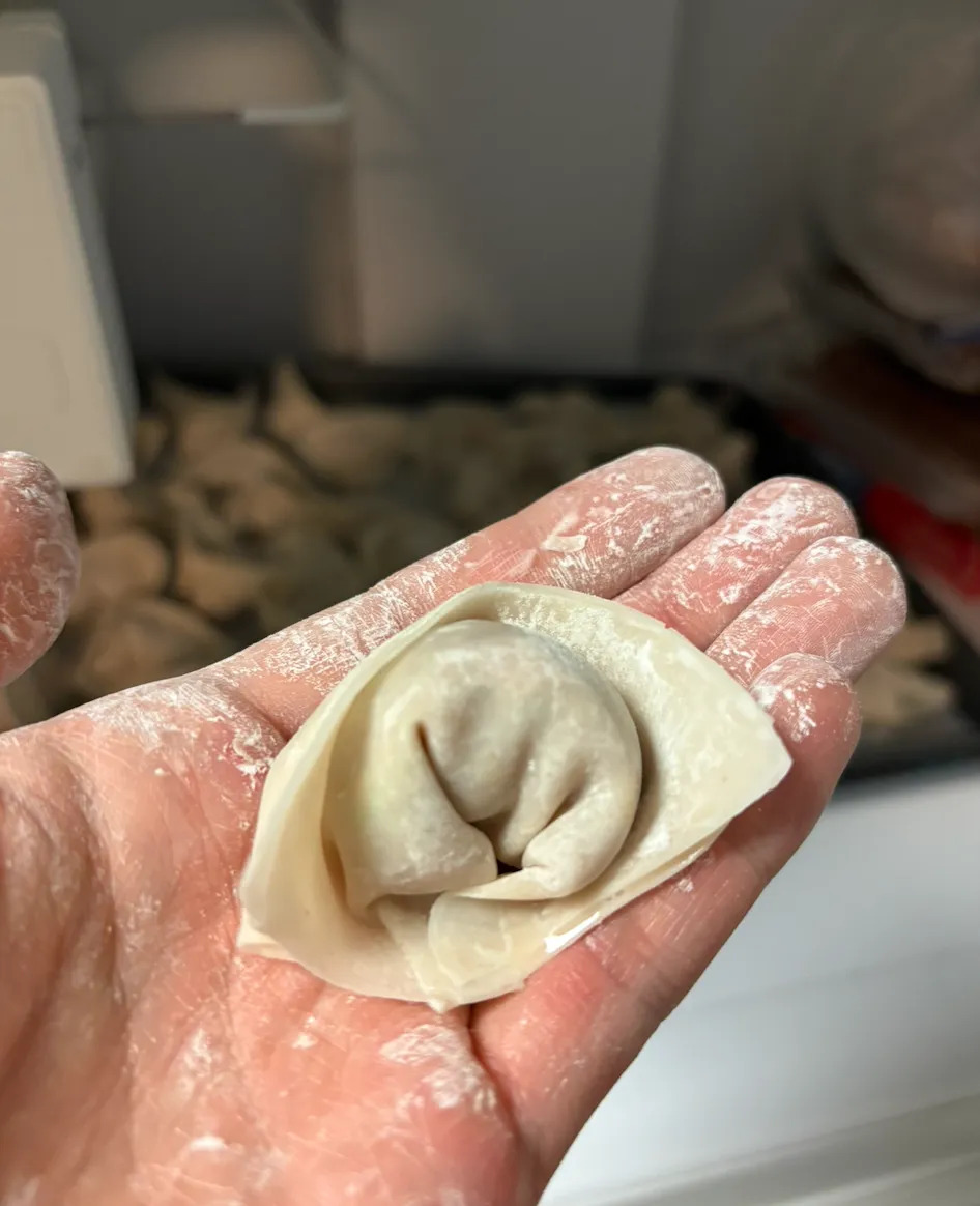 wonton